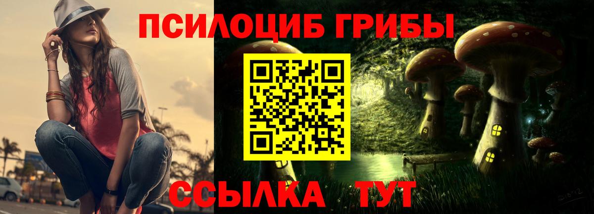 Галлюциногенные грибы GOLDEN TEACHER Еманжелинск