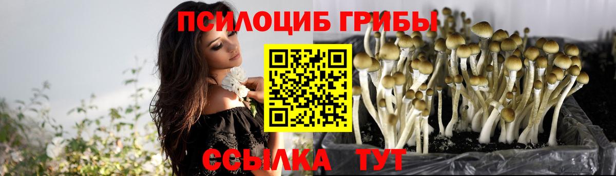 Еманжелинск  Галлюциногенные грибы Cubensis  цена   Вход с VPN 